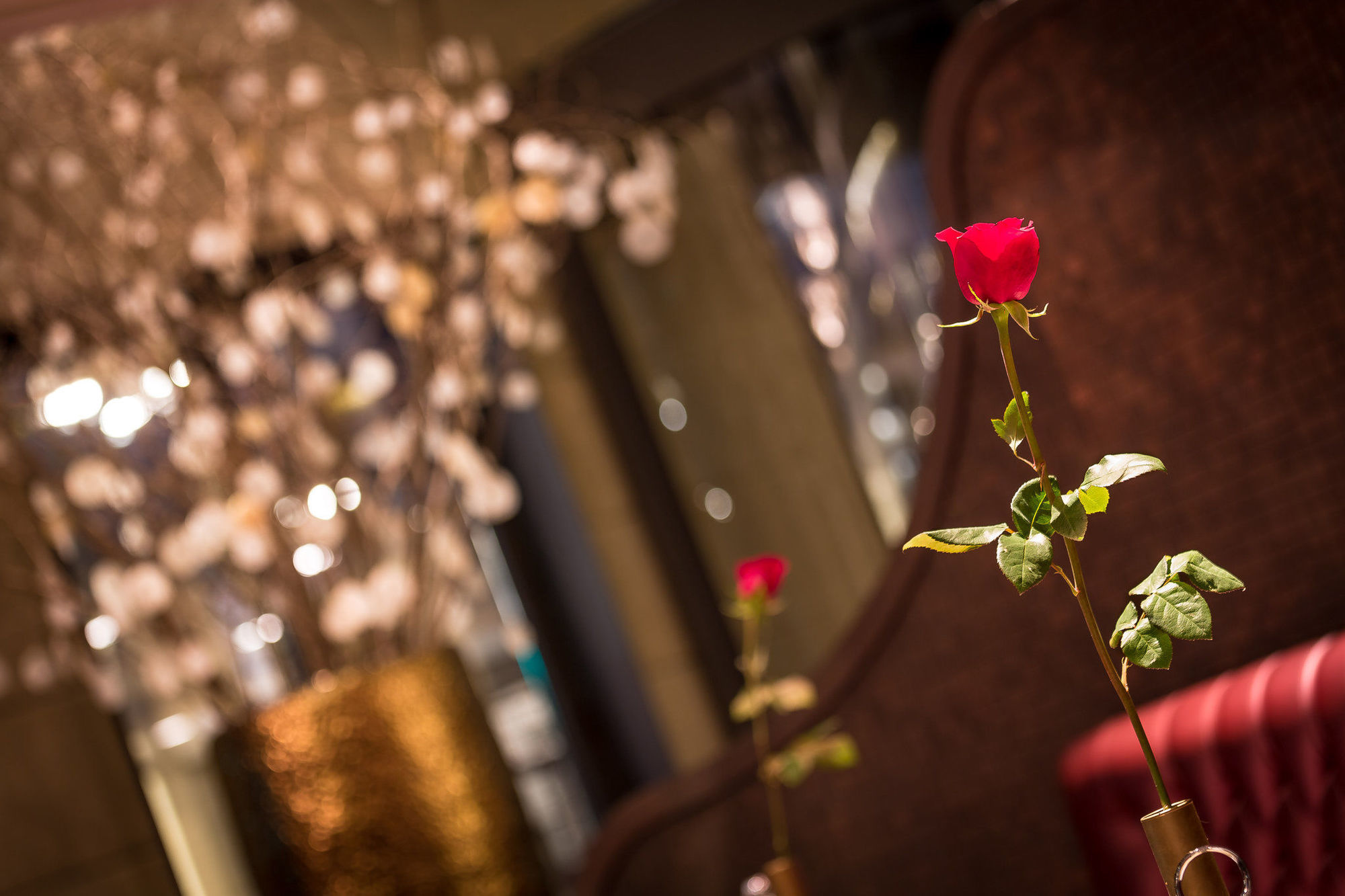 Hotel Bagues, A Small Luxury Hotel Of The World Barcelona Restaurant photo